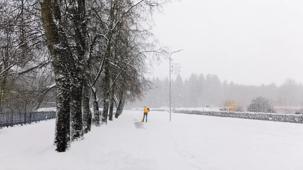 snow